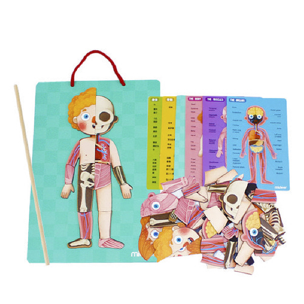 튼튼 인체 자석퍼즐