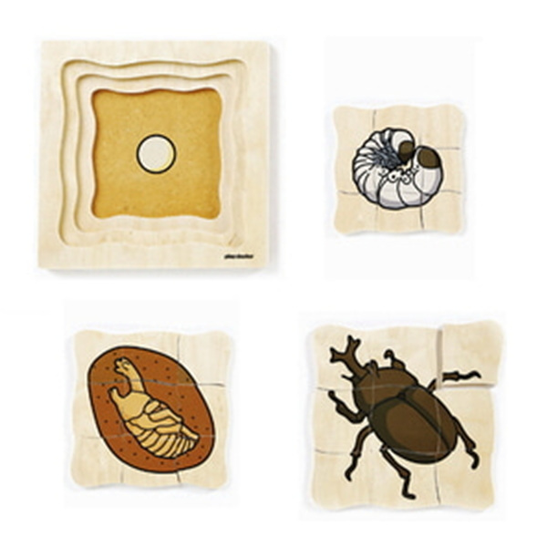 성장겹퍼즐-장수풍뎅이