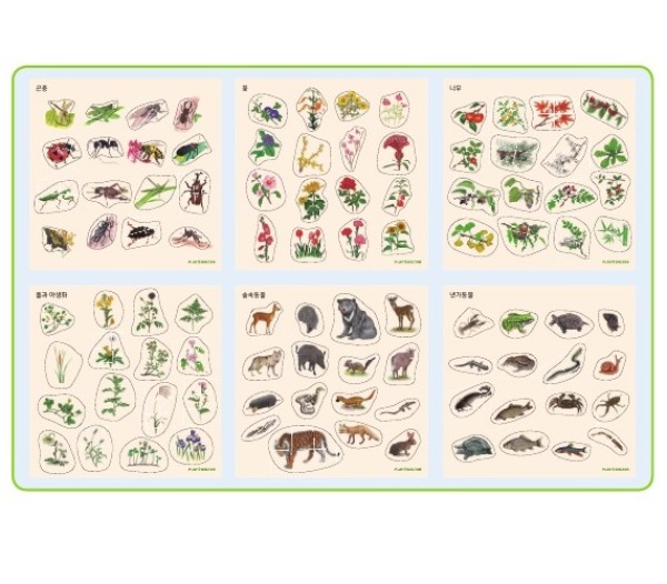 자연언어퍼즐-곤충