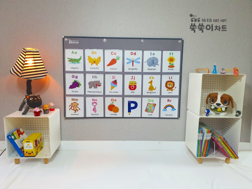 쑥쑥이차트 XL-2(A형) 하뚱세이 낱말카드 다국어 공룡 명화카드 카드꽂이 수납